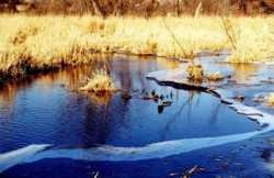 Rowan Creek